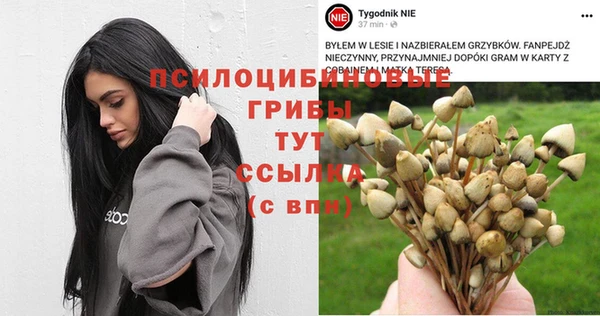 бутират Алексеевка