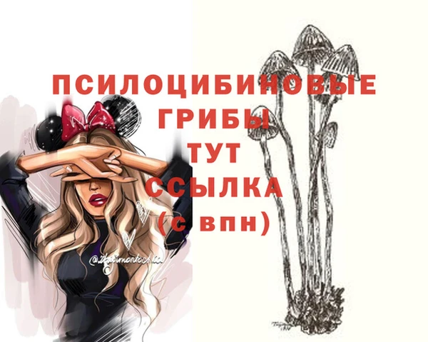 бутират Алексеевка