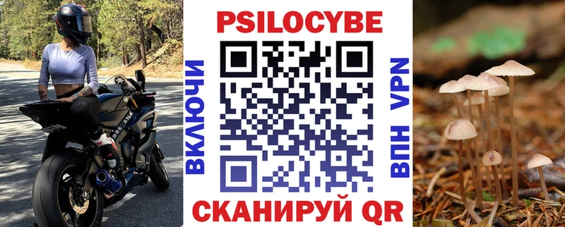 ссылка на мегу как войти  Комсомольск  Псилоцибиновые грибы прущие грибы 